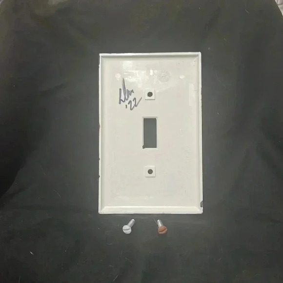 Custom painted Light Switch Cover - Picture 3 of 3